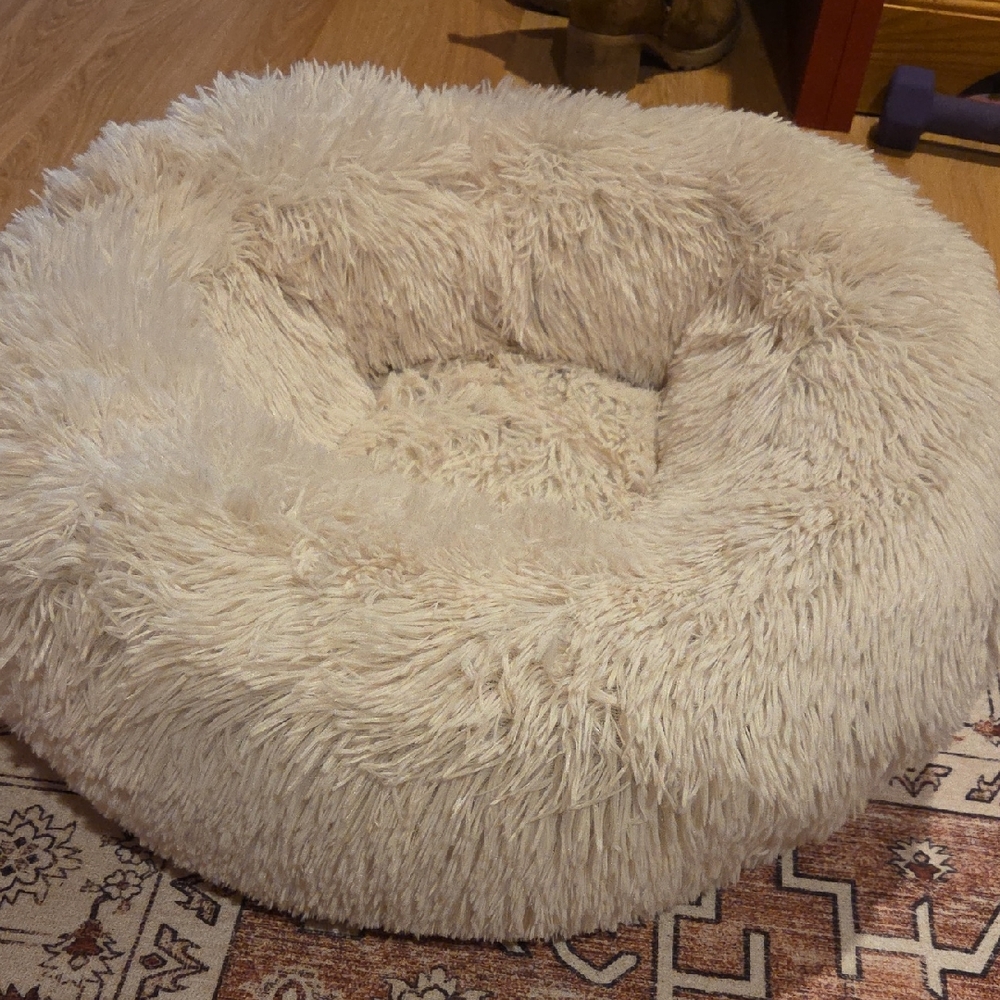 Brand New Dog Bed